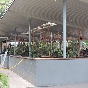 One of Many Koala Enclosures