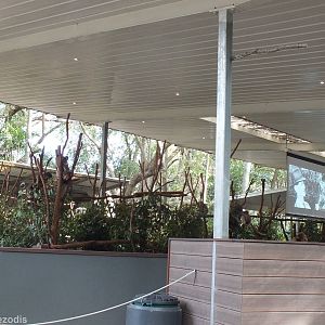 One of Many Koala Enclosures