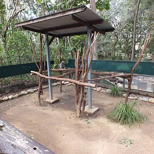 One of Many Koala Enclosures