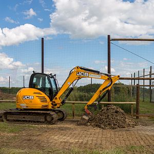 Malayan tiger (exhibit) : Hamerton : 03 Jul 2016