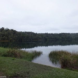 View of Lake Barrine