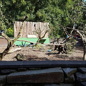 blue and yellow macaw enclosure
