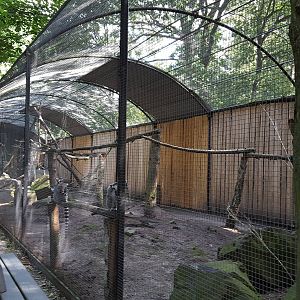 ring tailed lemur enclosure