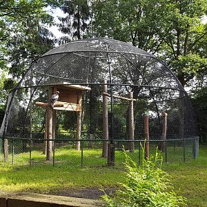steller's sea eagle enclosure