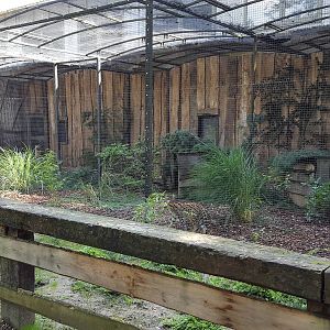 serval enclosure
