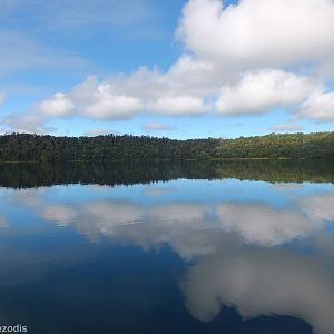 View of Lake Barrine