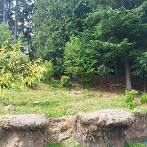 Sumatran Tiger Exhibit