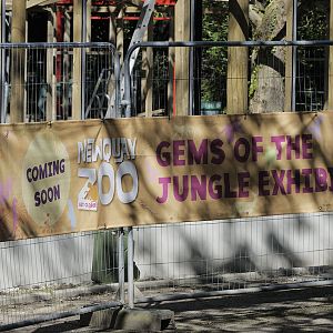 'Gems of the Jungle' under construction