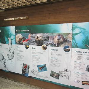 Sea Otter Exhibit (6 Foot High Signs)