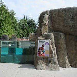 African Penguin Exhibit