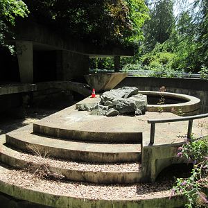 Abandoned Polar Bear Exhibit (in Stanley Park and not used since 1997)