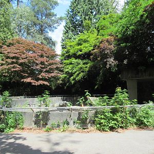 Abandoned Polar Bear Exhibit (in Stanley Park and not used since 1997)