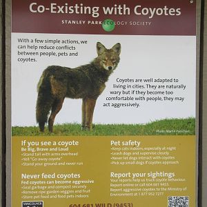 Coyote Sign (in 1,000 Acre Stanley Park)