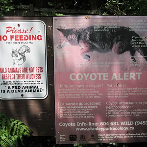 Coyote Sign (in 1,000 Acre Stanley Park)