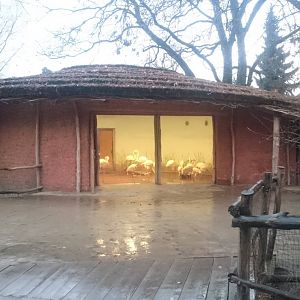 Greater flaming indoor enclosure