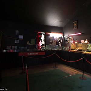 View of Upstairs Area