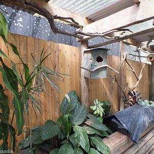 Part of Upper Area of Aviary