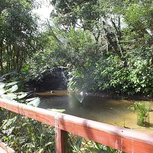 Part of Lower Area of Aviary