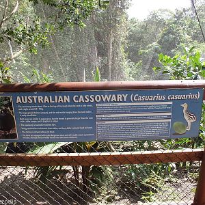 Cassowary Sign