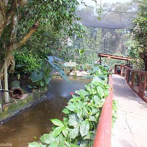 Part of Lower Area of Aviary