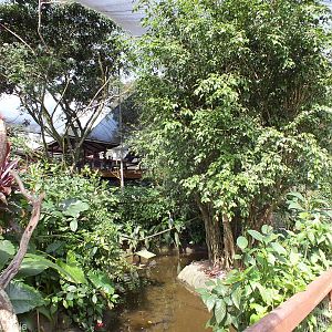 Part of Lower Area of Aviary