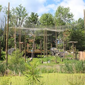 Eagle Aviary - June 2016