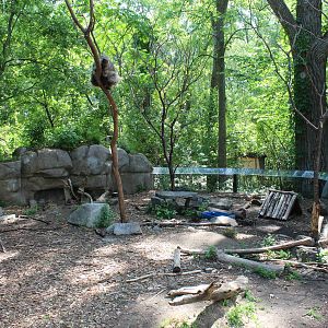 North American Porcupine Enclosure - June 2016