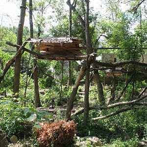 Fisher Enclosure - June 2016