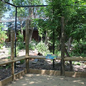 Canadian Lynx Enclosure - June 2016