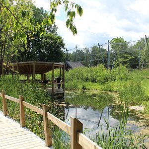 Wildfowl Aviary - June 2016