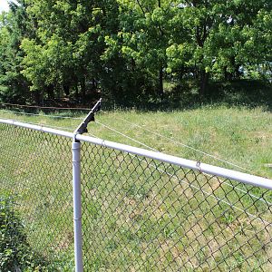 Coyote Enclosure - June 2016