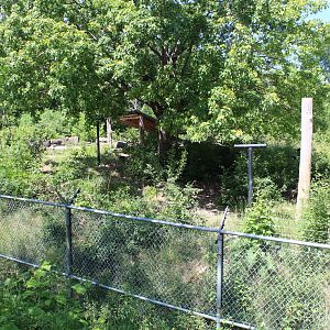 American Black Bear Enclosure - June 2016