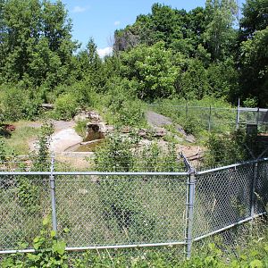 American Black Bear Enclosure - June 2016
