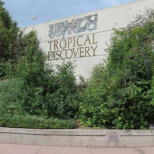 Tropical Discovery - Exterior