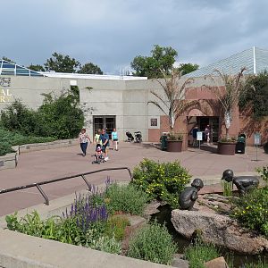 Tropical Discovery - Exterior