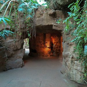 Tropical Discovery - Cave Entry