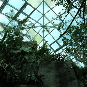 Tropical Discovery - Atrium Ceiling