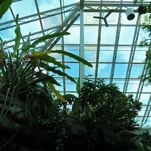 Tropical Discovery - Atrium Ceiling