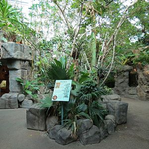 Tropical Discovery - Atrium