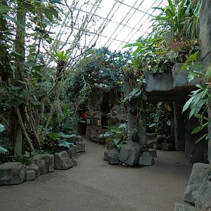 Tropical Discovery - Atrium