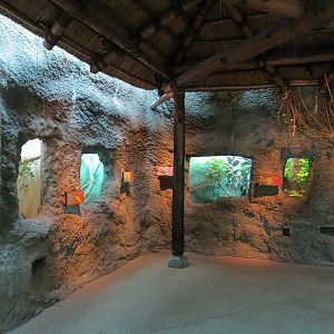 Tropical Discovery - Hut Exhibits