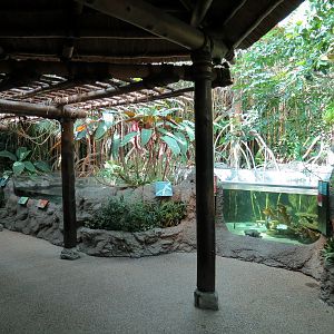 Tropical Discovery - Fish Exhibits