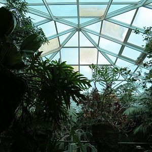 Tropical Discovery - Siamese Crocodile Exhibit