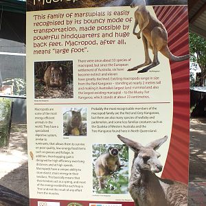Macropod Sign