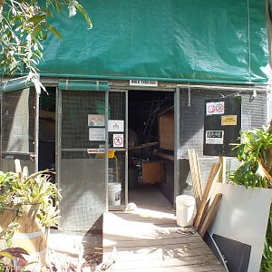 Walkthrough Reptile House Under Construction