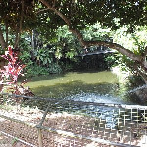Other View of Freshwater Crocodile Enclosure