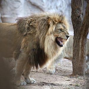 Summer Nights - July 8, 2016