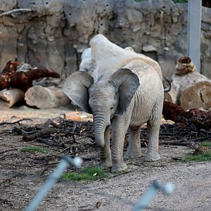 Summer Nights - July 8, 2016