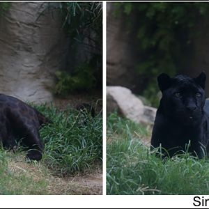 Summer Nights - July 8, 2016