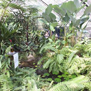 View in Main Greenhouse